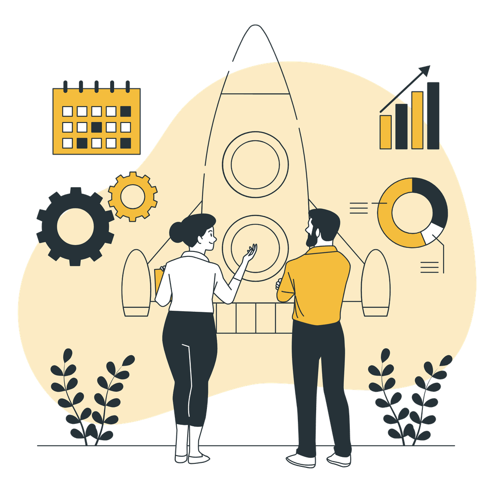 Starting and Developing with InstantBIS